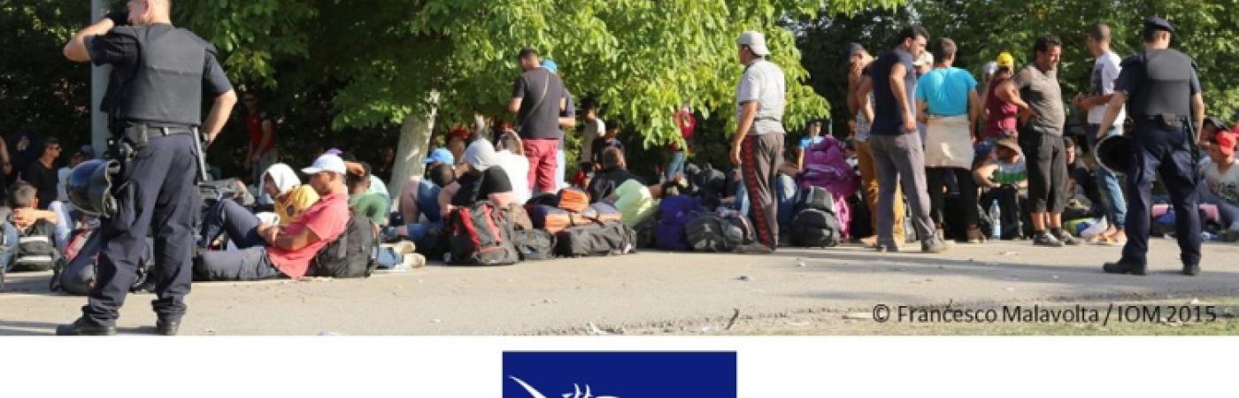 V Reunión del Grupo de Trabajo Ad Hoc sobre Migrantes Extra-regionales